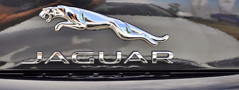 Logo thương hiệu xe Jaguar