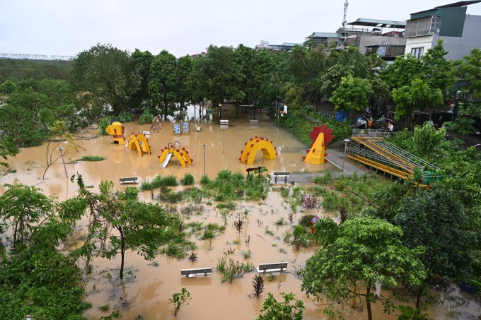 Bãi giữa sông Hồng nước ngập sát lên ngọn cây