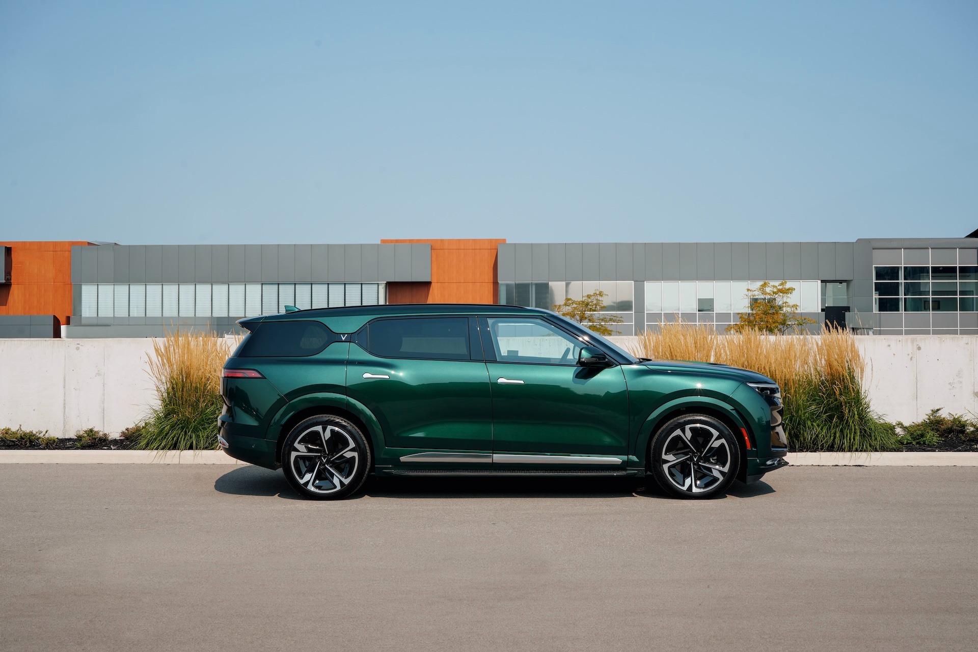 vf