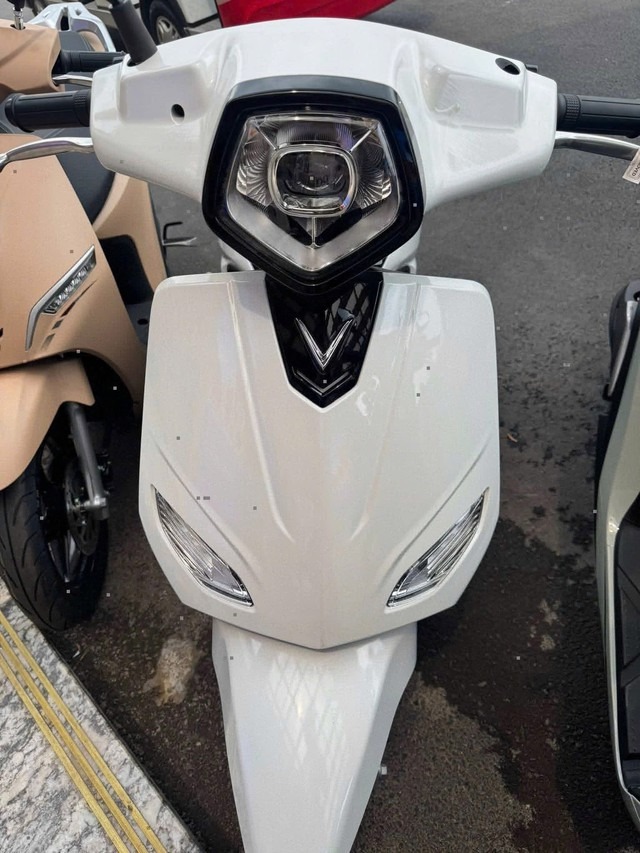 VinFast Vero X