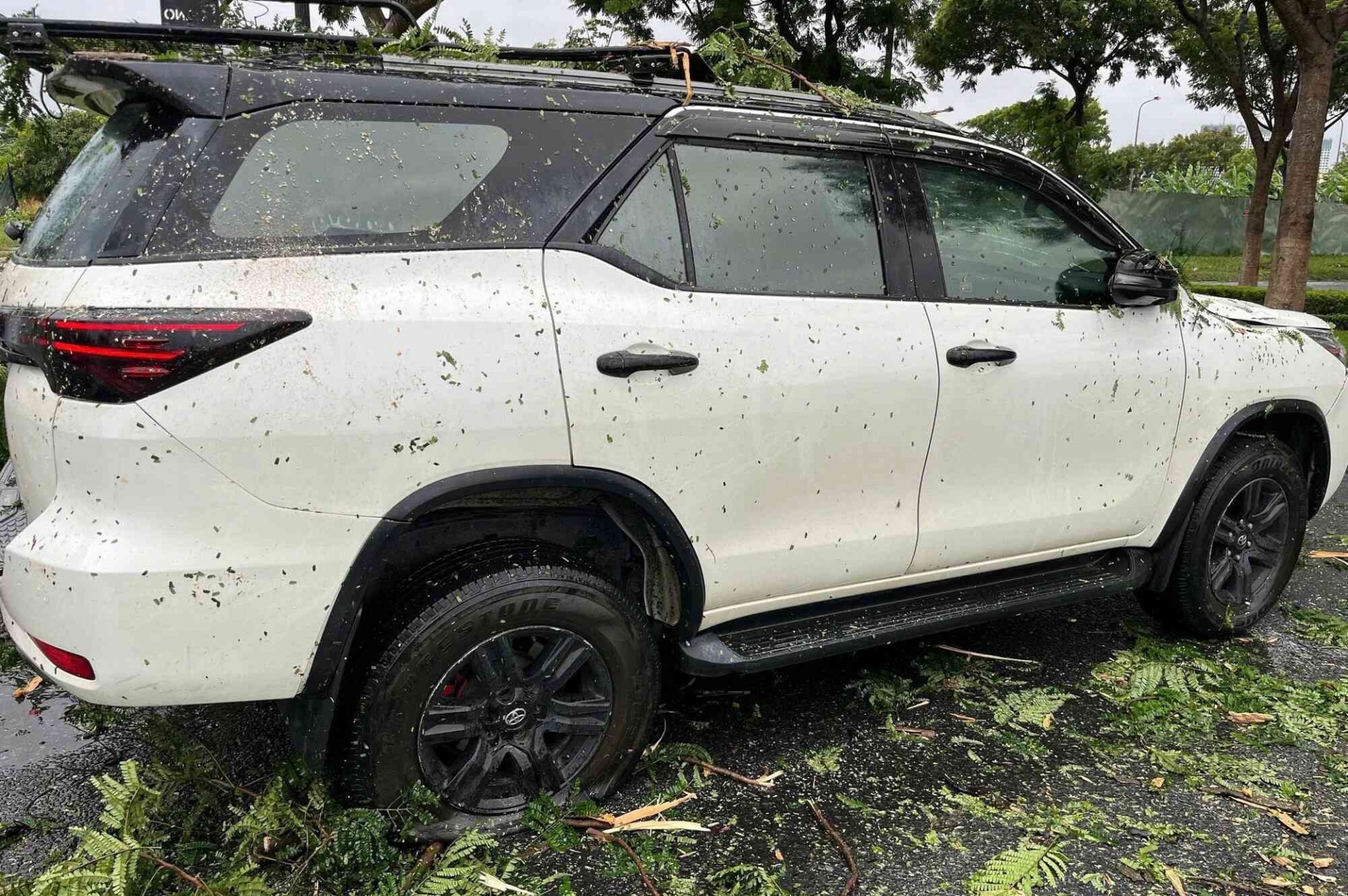 1000013785-175902732847010439744_optimized