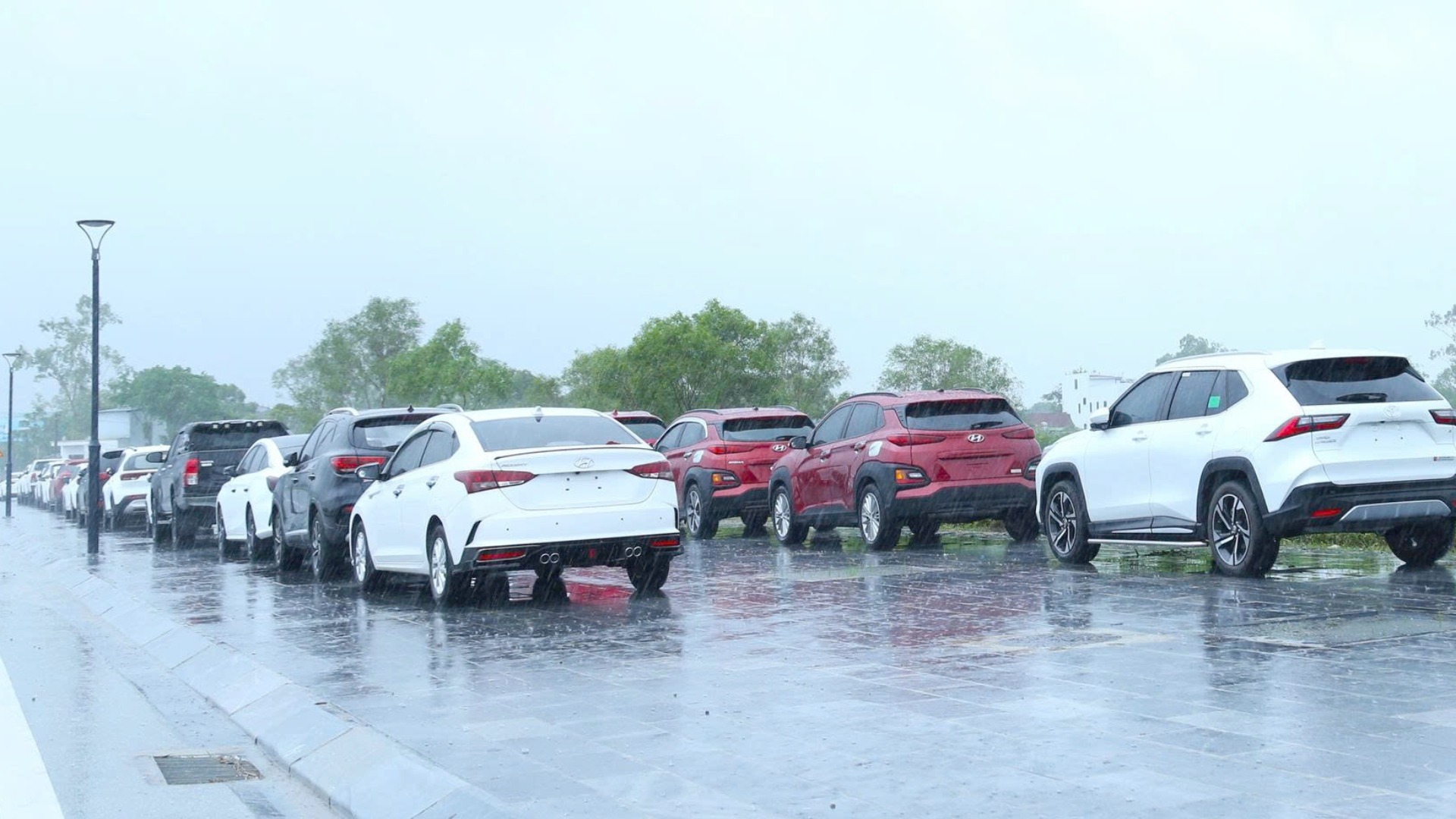 55602217113494736532111497448400