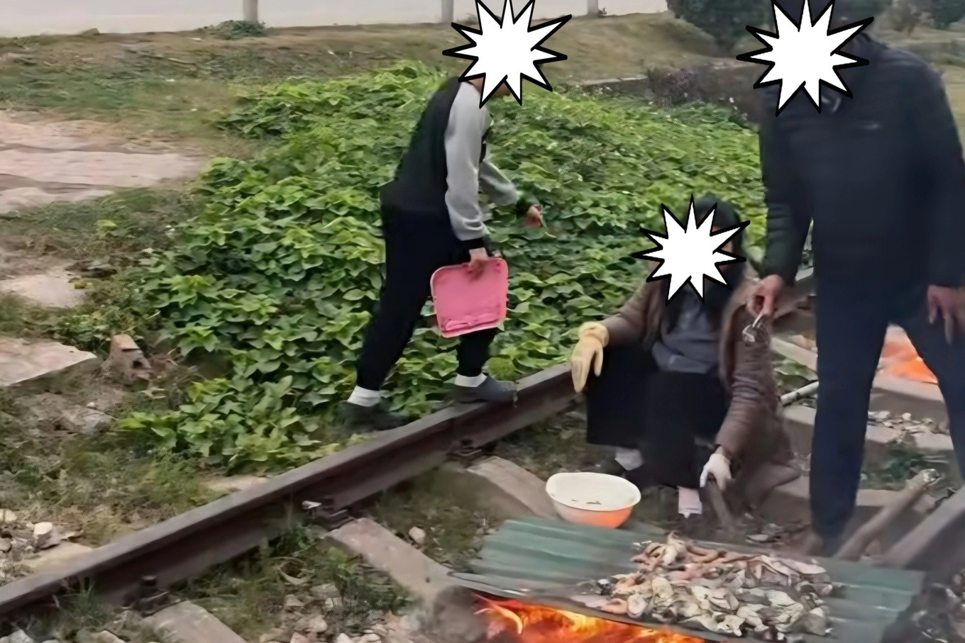 1000006016-cropped-1767436371453