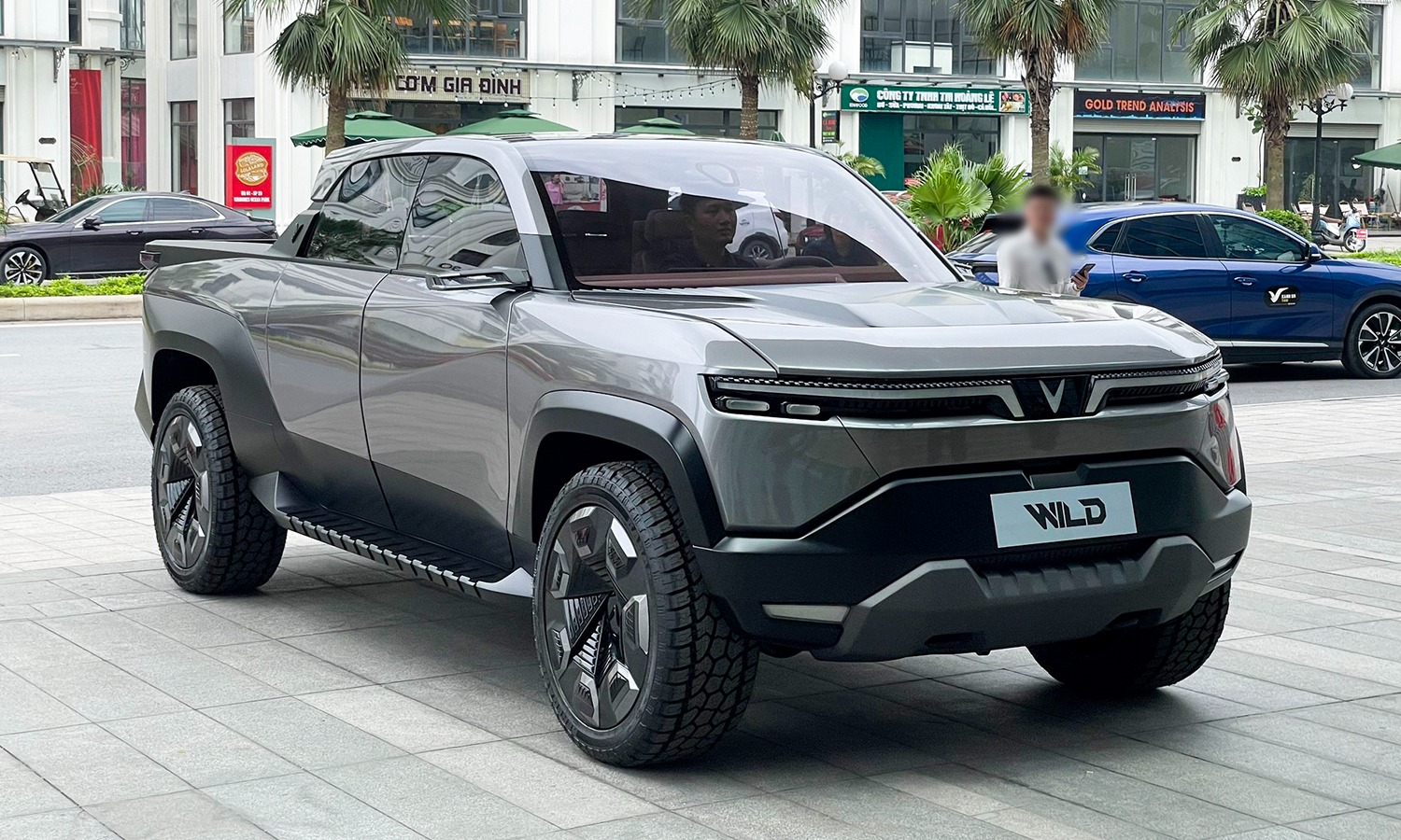VinFast VF Wild