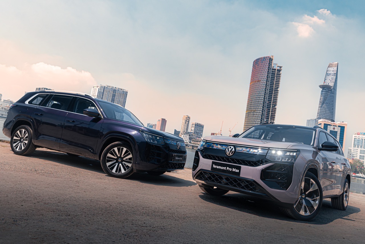 Volkswagen Teramont Pro 6