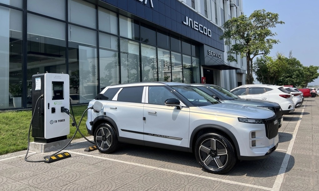 img-jpg-1775804493-3728-1775805927