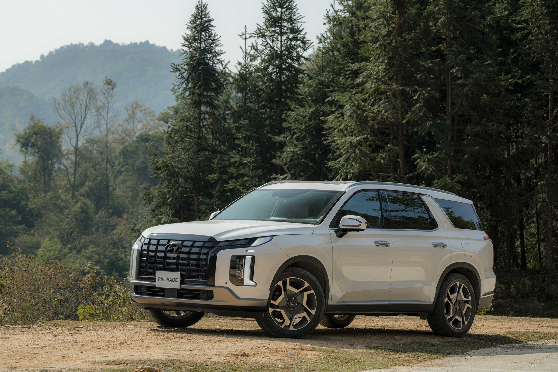 Hyundai Palisade (1)