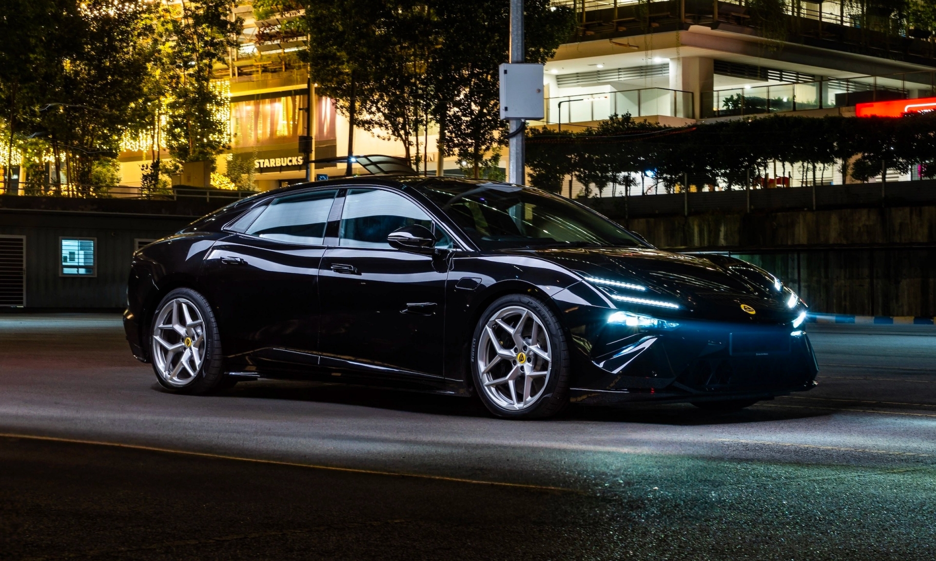 Lotus (4)