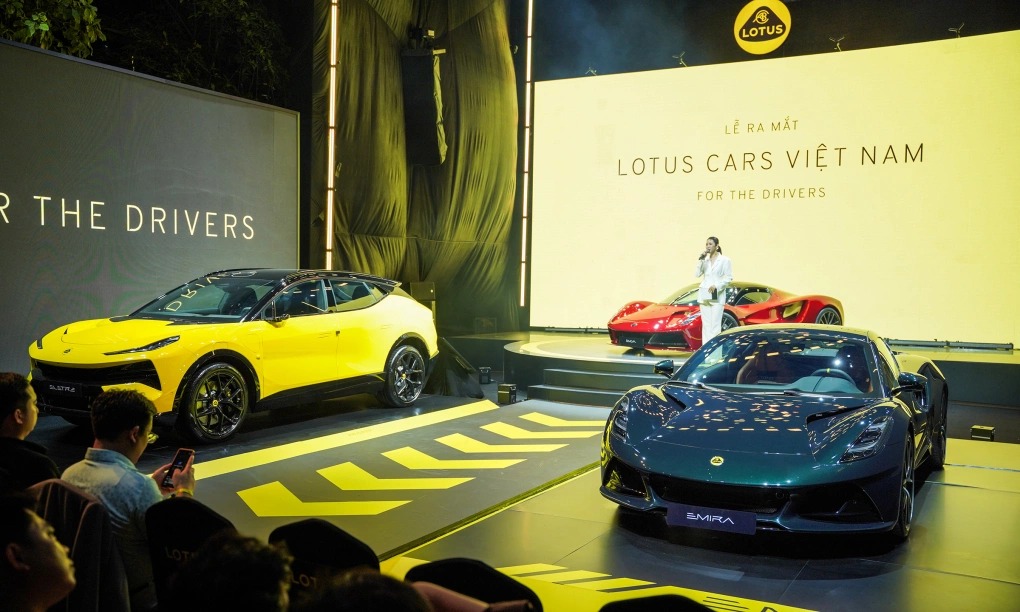 Lotus (5)
