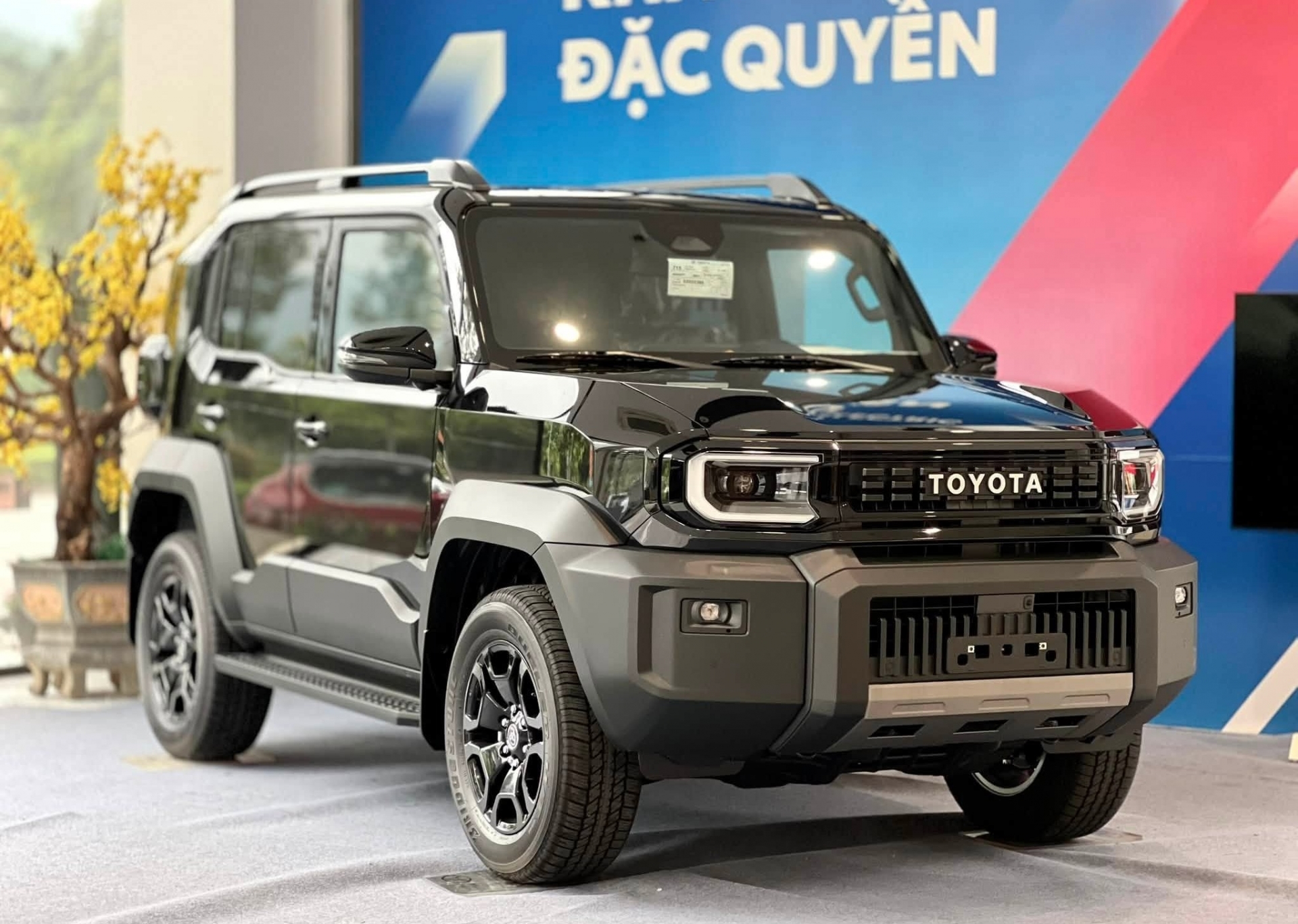 Toyota Land Cruiser FJ (22)