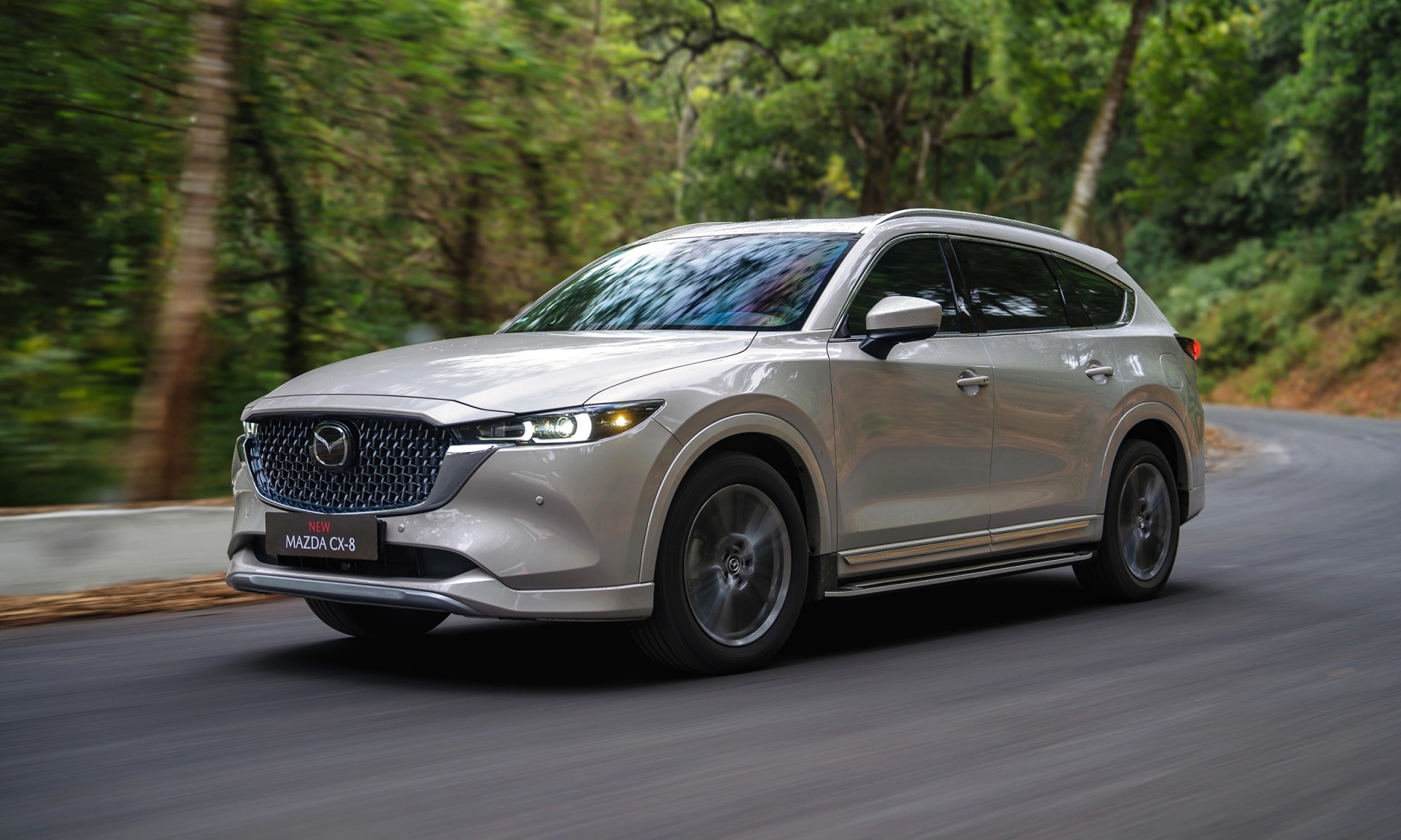 CX-8