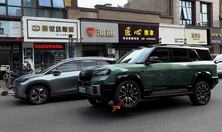 BYD Fang Cheng Bao Bao 8 (2)