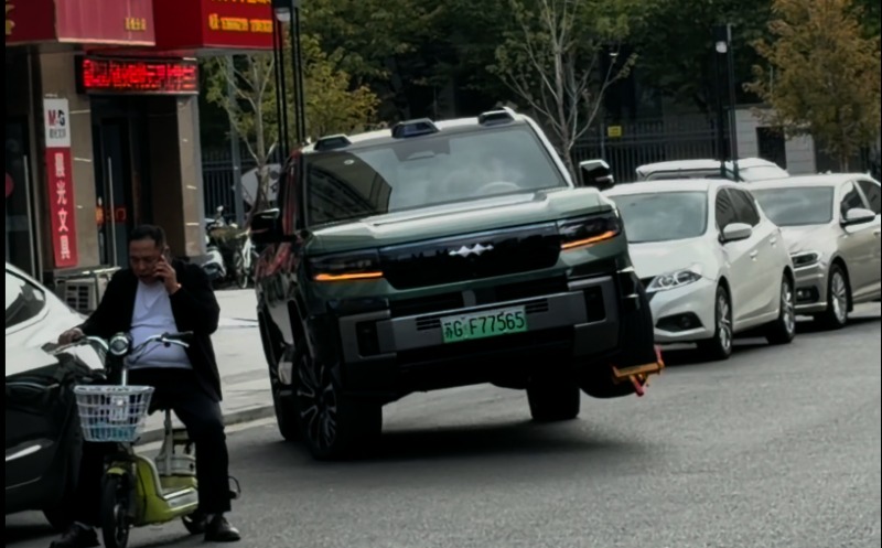 BYD Fang Cheng Bao Bao 8
