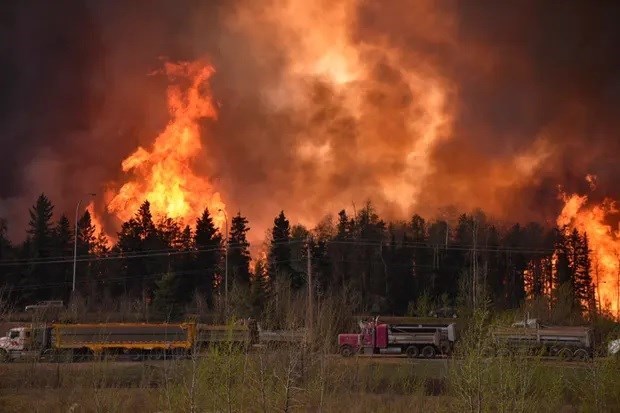 Cháy rừng ở Alberta, Canada khiến cho việc sản dầu bị gián đoạn (ảnh: Reuters)