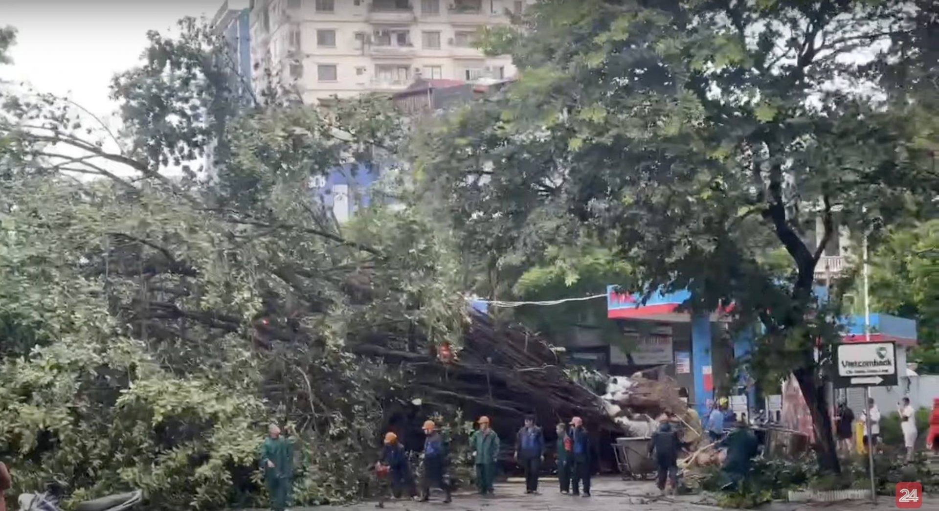 Cây cổ thụ trên đường Trần Cung, Hà Nội đổ rạp chắn ngang đường