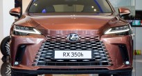 Lexus RX hybrid 2025 dễ ra mắt vào tháng 4, giá dự kiến 3,5 tỷ đồng