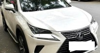 Xe sang Lexus NX 300 2019 chạy lướt rao bán lại với giá bao nhiêu?