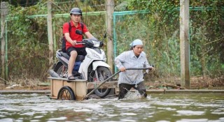 Hà Nội: Người dân phải thuê kéo xe bò để di chuyển qua đường ngập dù hết mưa