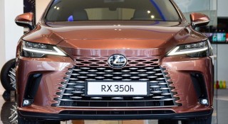 Lexus RX hybrid 2025 dễ ra mắt vào tháng 4, giá dự kiến 3,5 tỷ đồng