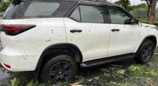 Giải cứu 6 hành khách mắc kẹt trong ô tô vì bị cây đổ đè