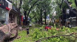 Bão Yagi tàn phá Hà Nội: Cây đổ la liệt, nhiều tuyến đường ngập nước