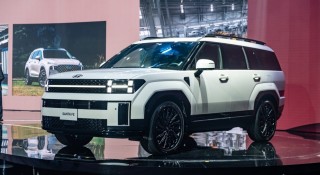 Xe đa dụng tăng trưởng mạnh trong tháng 3/2025, Hyundai Santa Fe trở lại đường đua