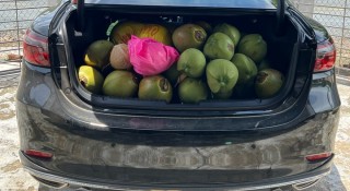 Chở đồ cồng kềnh trên ô tô dịp Tết: Những nguyên tắc quan trọng để an toàn và không phạm luật