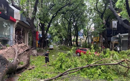 Bão Yagi tàn phá Hà Nội: Cây đổ la liệt, nhiều tuyến đường ngập nước