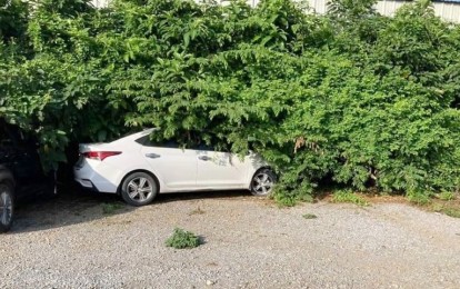 Cánh tài xế 'xoay đủ đường' để cứu ô tô khỏi nắng nóng đỉnh điểm