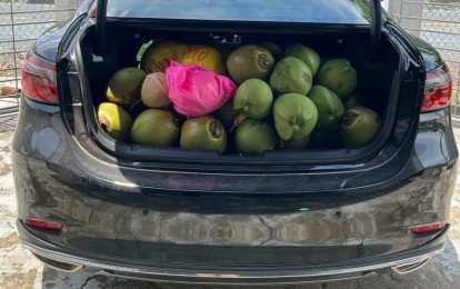 Chở đồ cồng kềnh trên ô tô dịp Tết: Những nguyên tắc quan trọng để an toàn và không phạm luật