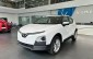 Xe gầm cao cỡ nhỏ đầu năm 2025: Xe điện áp đảo xe xăng