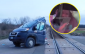 VIDEO: Tài xế giao hàng sống sót khó tin sau khi xe tải bị tàu hỏa cắt làm đôi