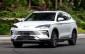 Gặp khó với xe điện, BYD chuyển hướng sang PHEV tại châu Âu và Việt Nam