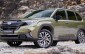 Subaru Forester hybrid phát tín hiệu sắp ra mắt Việt Nam: 'Ăn xăng' chỉ 4,9 lít/100 km, nhập khẩu Nhật Bản